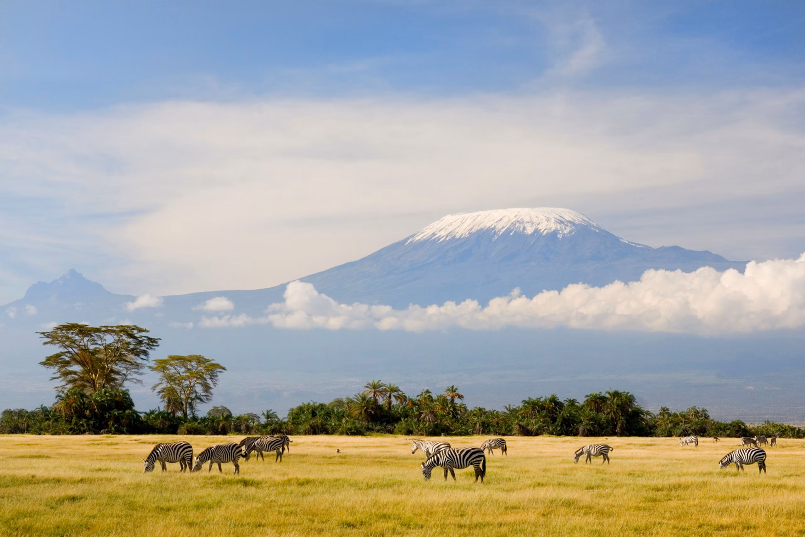 Climb Mount Kilimanjaro | Trekking Tours with Local Guides – Wild Rhythms Wild Rthythms Safaris
