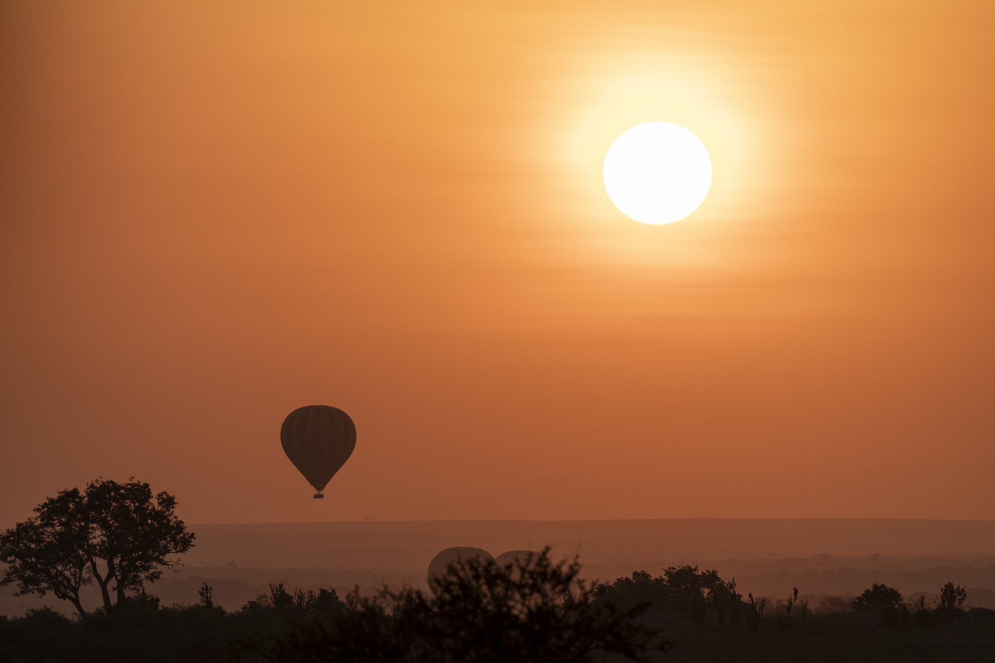 Wild Rhythms Safaris – Explore Tanzania’s Wildlife, Culture & Peaks Wild Rthythms Safaris