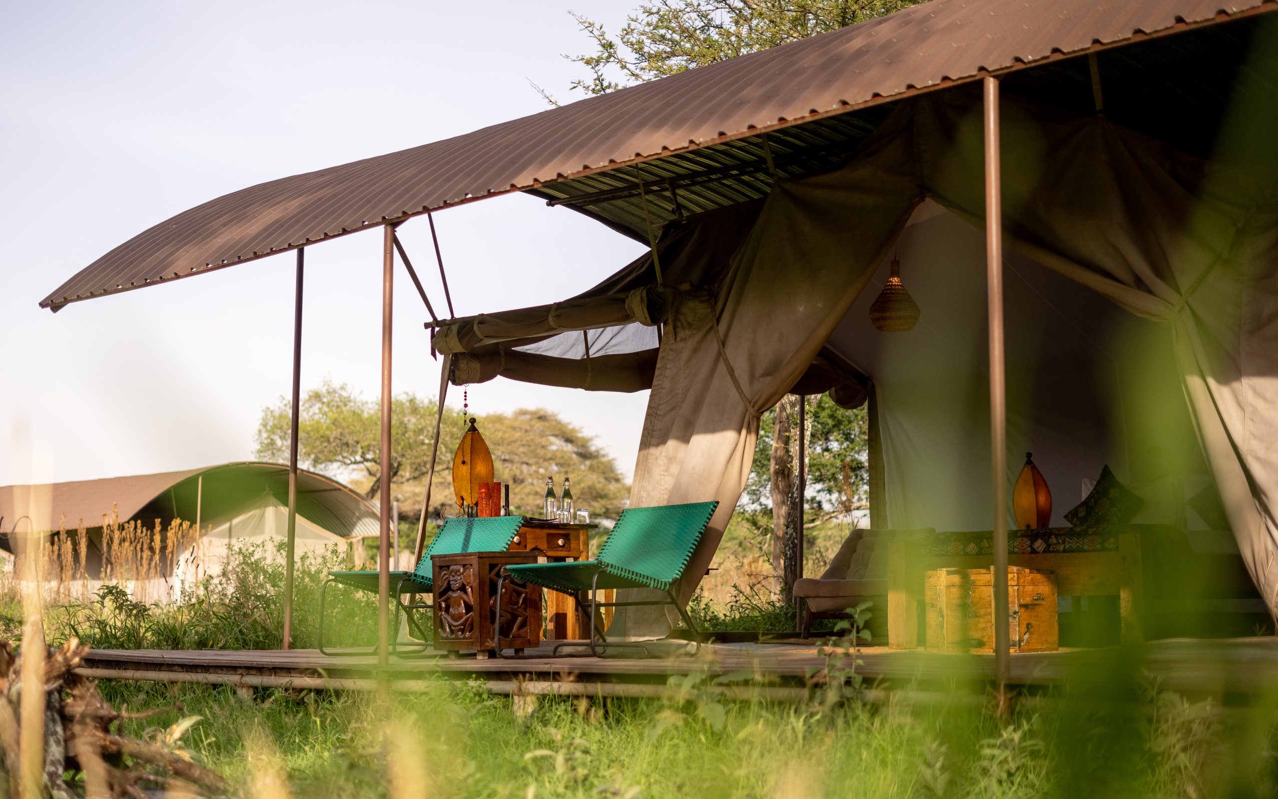Travel Blog & Safari Tips from Wild Rhythms Safaris Wild Rthythms Safaris