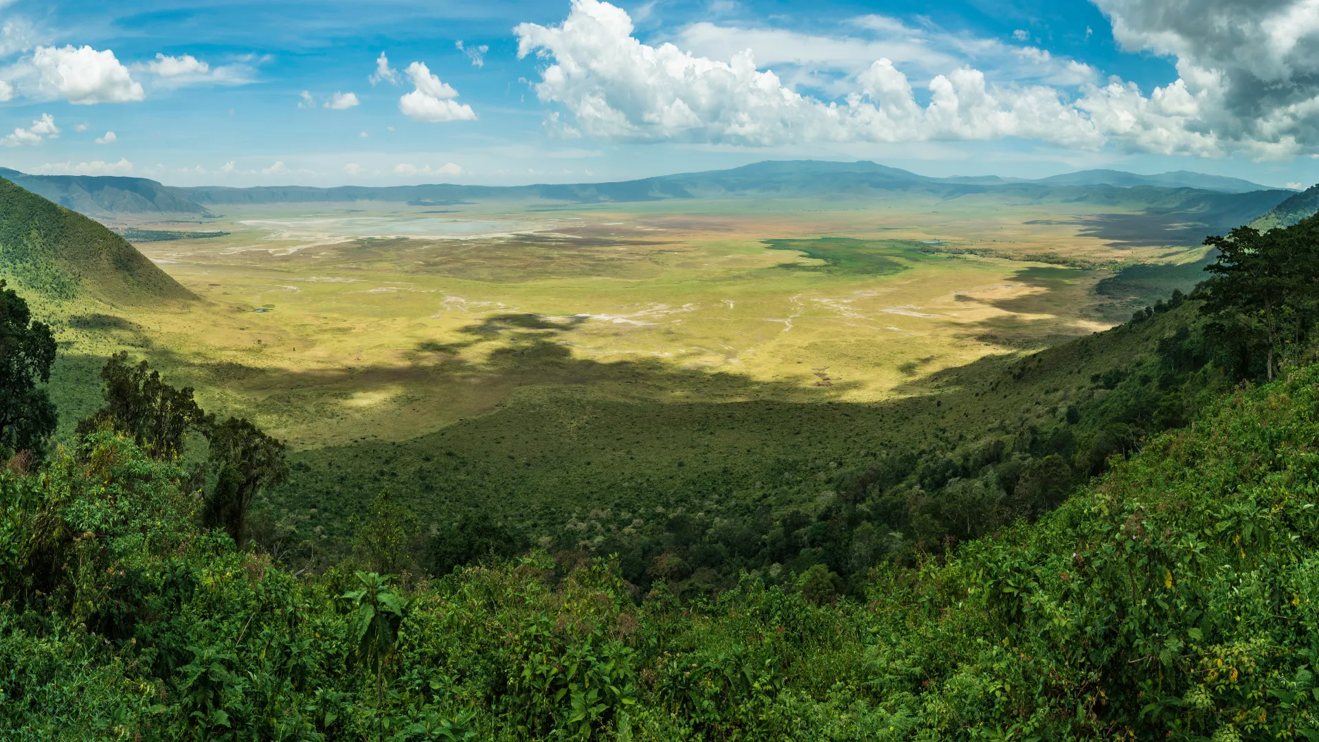 Wild Rhythms Safaris – Explore Tanzania’s Wildlife, Culture & Peaks Wild Rthythms Safaris