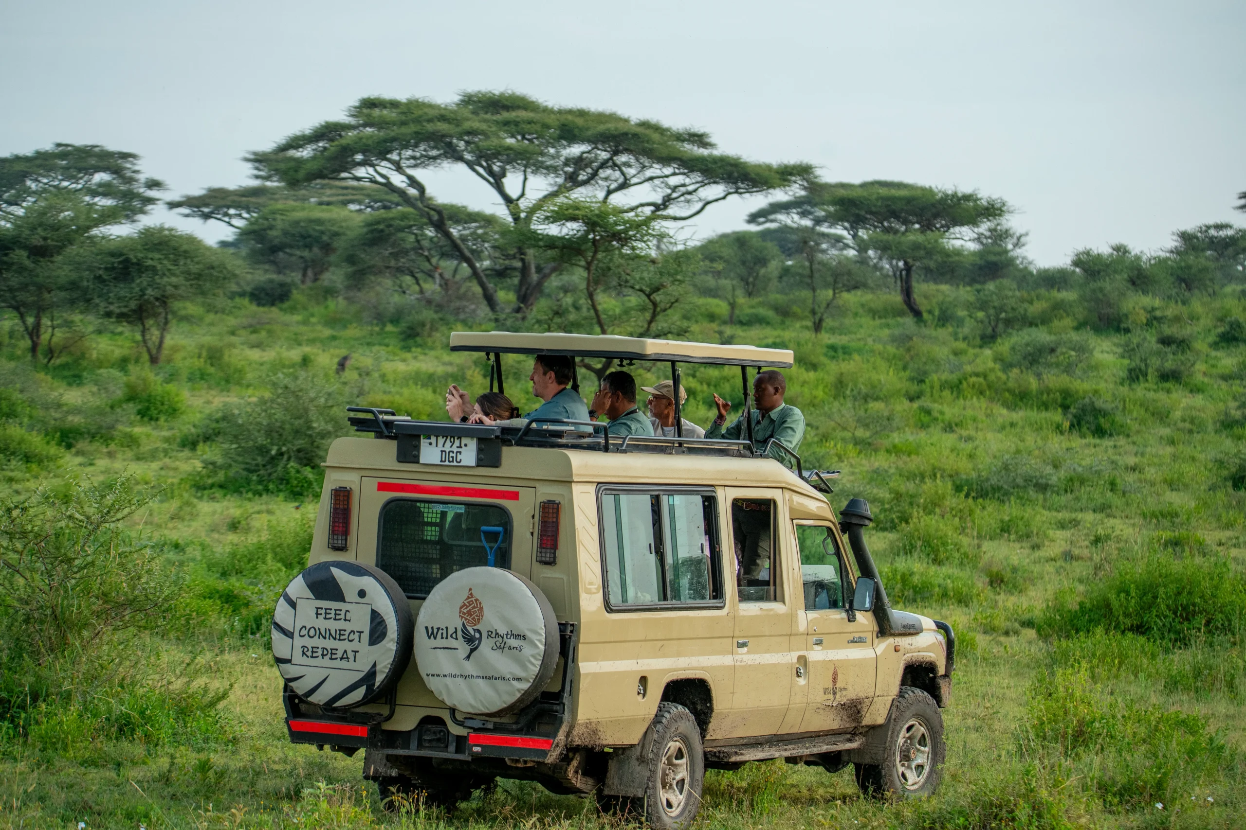 About us Wildrythm Wild Rthythms Safaris